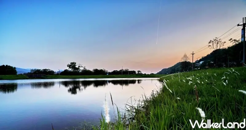 新北景點「樹林沐心池」 / WalkerLand窩客島整理提供 未經許可不可轉載
