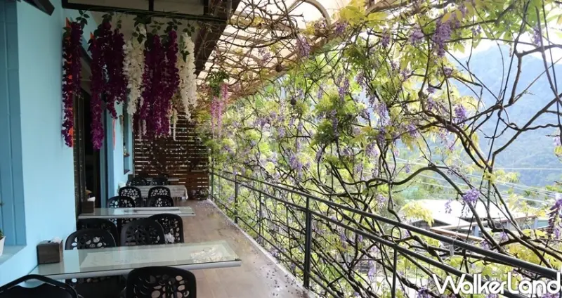 阿里山景點 / WalkerLand窩客島整理提供 未經許可不可轉載