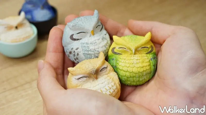 杯中生物 / WalkerLand窩客島提供 未經許可，不得轉載