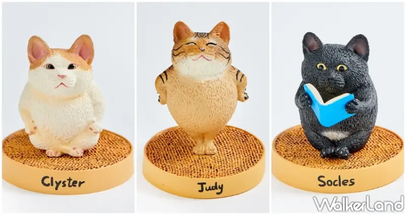 朝隈俊男X黃阿瑪的後宮生活 / WalkerLand窩客島提供 未經許可，不得轉載