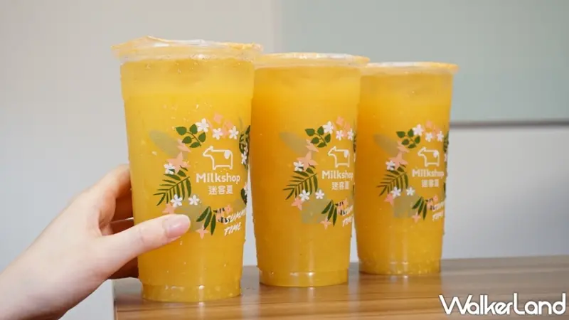 迷客夏 / WalkerLand窩客島提供 未經許可，不得轉載