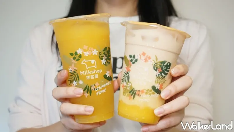 迷客夏 / WalkerLand窩客島提供 未經許可，不得轉載