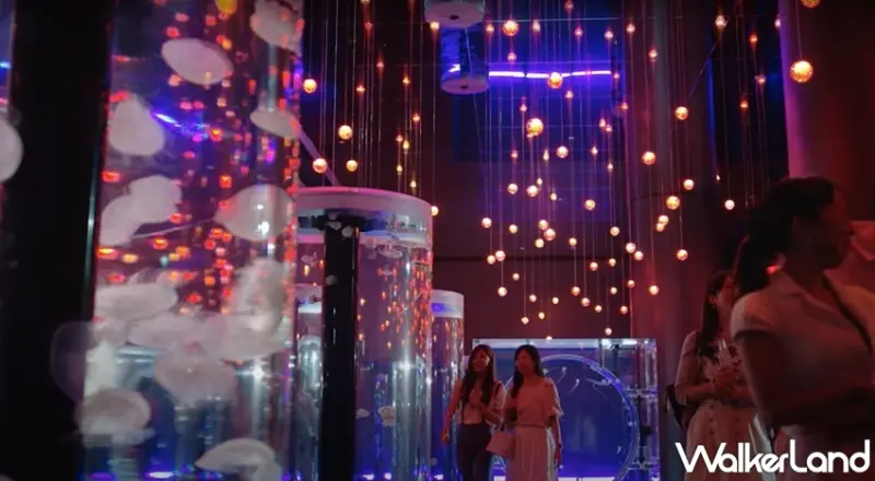 Xpark / WalkerLand窩客島提供 未經許可，不得轉載