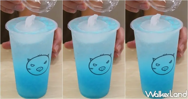 大盜陳 / WalkerLand窩客島提供 未經許可，不得轉載