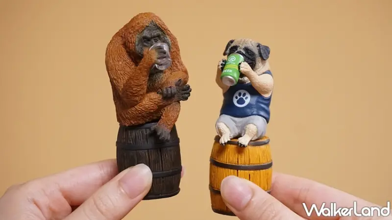 買醉人生 / WalkerLand窩客島提供 未經許可，不得轉載