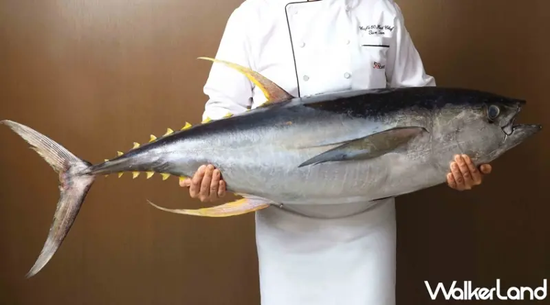 50樓Café / WalkerLand窩客島提供 未經許可，不得轉載