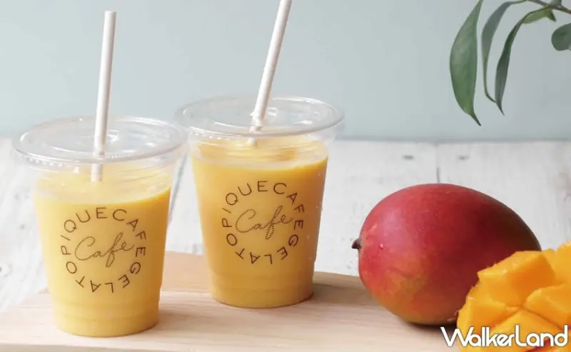 gelato pique café  / WalkerLand窩客島提供 未經許可，不得轉載