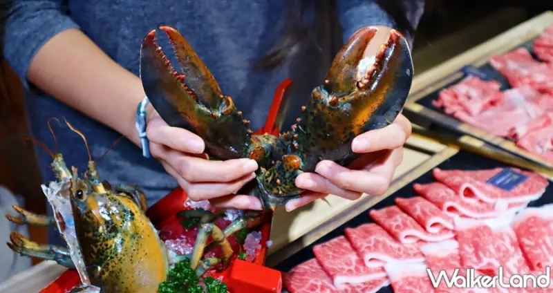 藏王 極上鍋物 / WalkerLand窩客島提供 未經許可，不得轉載