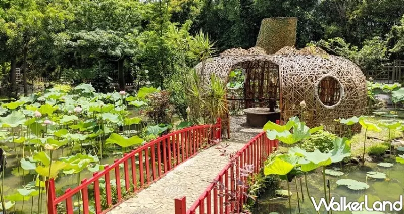 桃園觀音「2020桃園蓮花季」 / WalkerLand窩客島整理提供 未經許可不可轉載