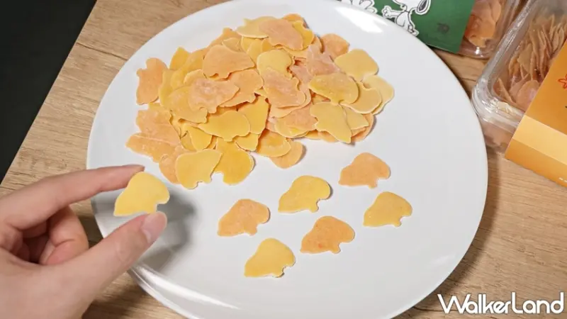 史努比 / WalkerLand窩客島提供 未經許可，不得轉載