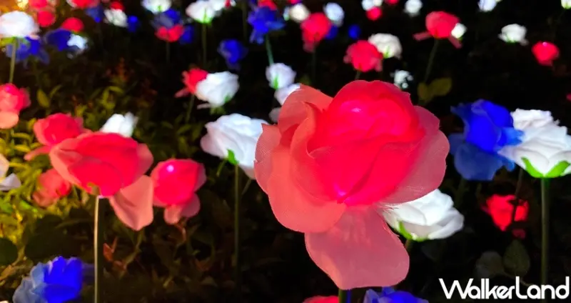 微風南山 玫瑰花燈海 / WalkerLand窩客島整理提供 未經許可不可轉載
