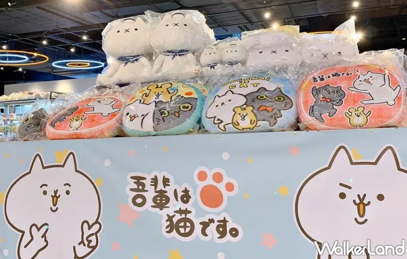 反應過激的貓快閃  / WalkerLand窩客島整理提供 未經許可，不得轉載