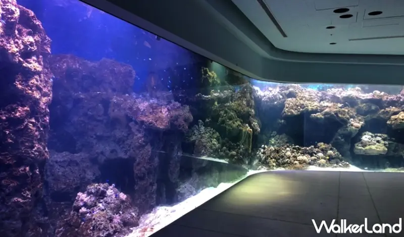 Xpark / WalkerLand窩客島提供 未經許可，不得轉載