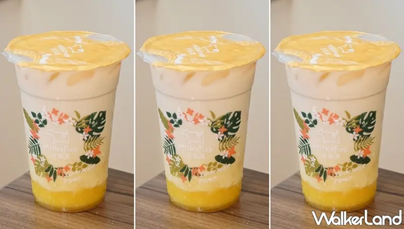 迷客夏 / WalkerLand窩客島提供 未經許可，不得轉載