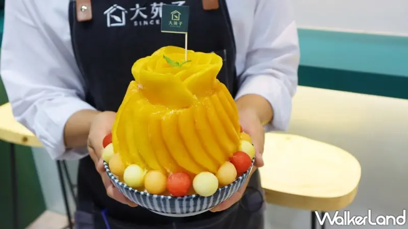 大苑子 市府夢想店 / WalkerLand窩客島提供 未經許可，不得轉載