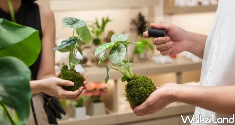 誠品美感生活概念店「expo BEAUTY」/ WalkerLand窩客島整理提供 未經許可不可轉載