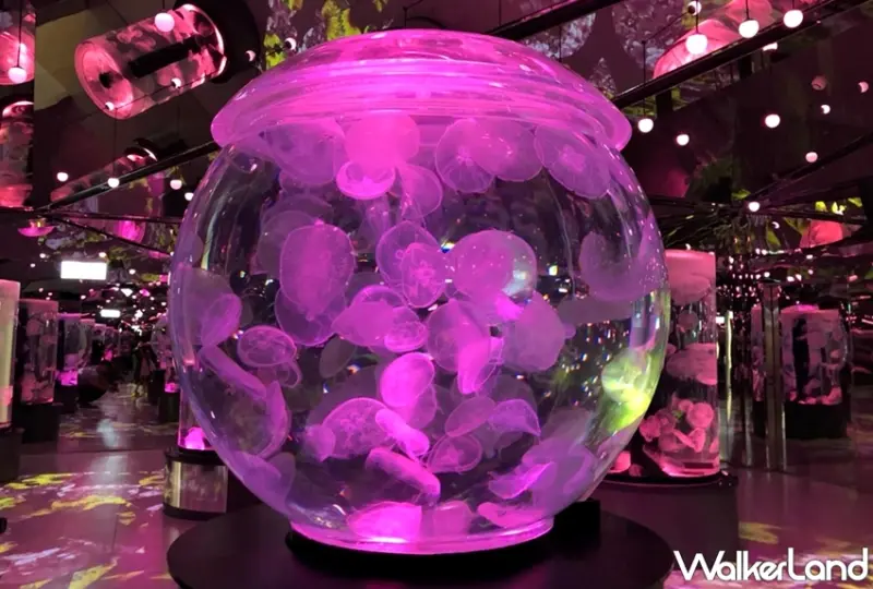 Xpark / WalkerLand窩客島提供 未經許可，不得轉載