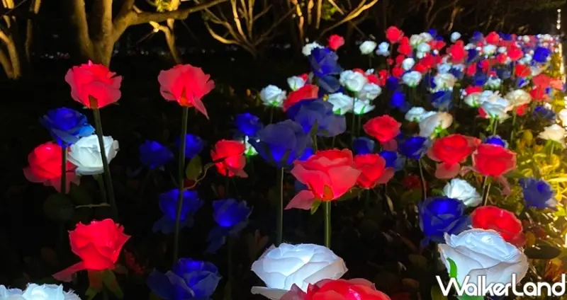微風南山 玫瑰花燈海 / WalkerLand窩客島整理提供 未經許可不可轉載