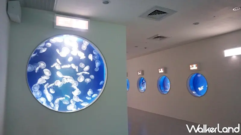 Xpark / WalkerLand窩客島提供 未經許可，不得轉載