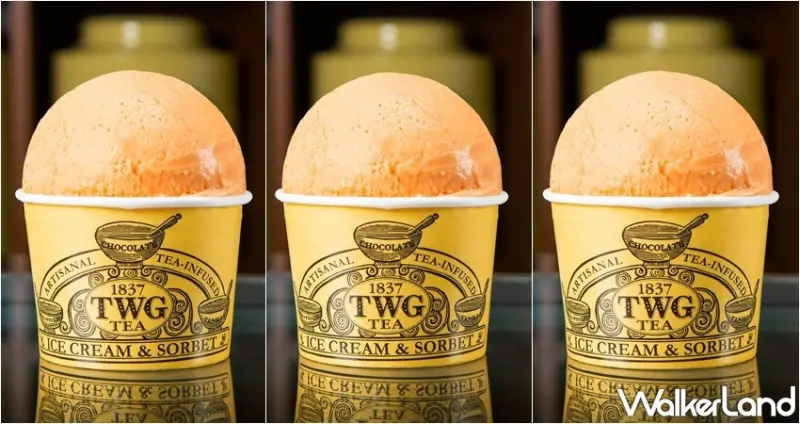 TWG Tea沁涼仲夏－繽紛茶香冰淇淋 / WalkerLand窩客島整理提供 未經許可，不得轉載