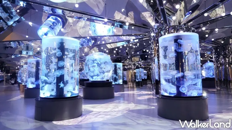 Xpark / WalkerLand窩客島提供 未經許可，不得轉載