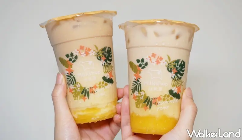 迷客夏 / WalkerLand窩客島提供 未經許可，不得轉載