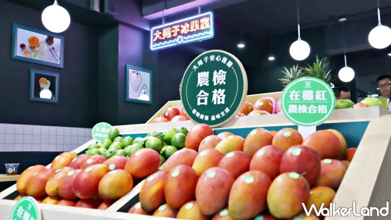 大苑子 / WalkerLand窩客島整理提供 未經許可，不得轉載