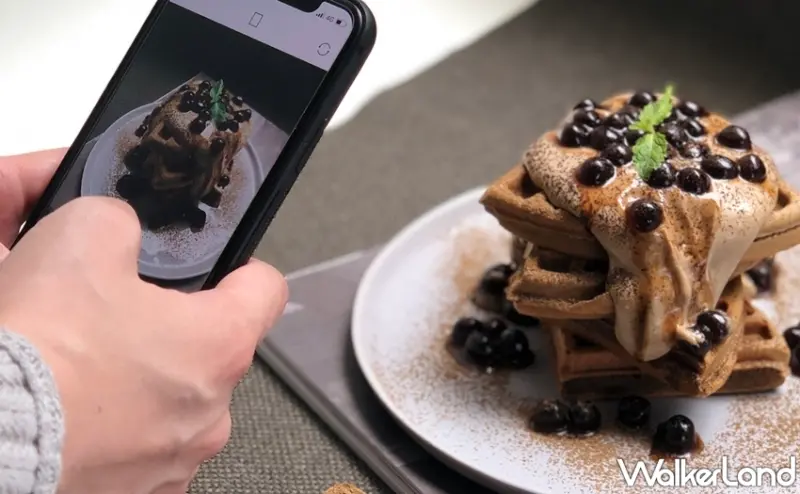 Aunt Stella / WalkerLand窩客島提供 未經許可，不得轉載