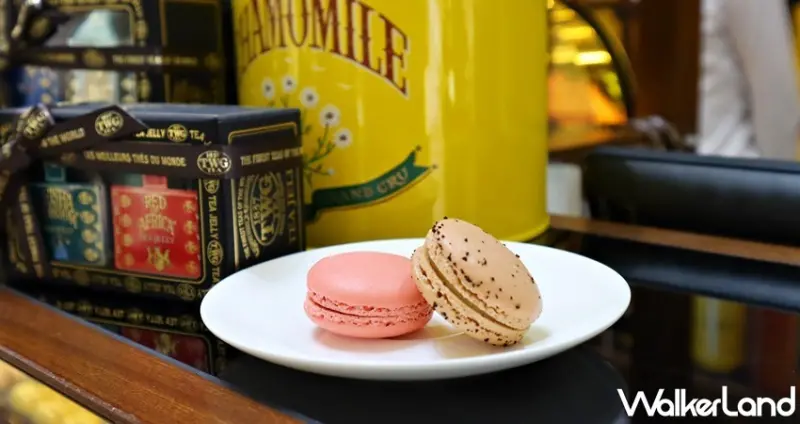 TWG Tea沁涼仲夏－繽紛茶香冰淇淋 / WalkerLand窩客島整理提供 未經許可，不得轉載