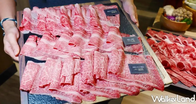 藏王 極上鍋物 / WalkerLand窩客島提供 未經許可，不得轉載