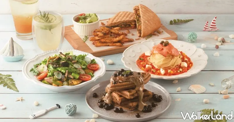 Aunt Stella / WalkerLand窩客島提供 未經許可，不得轉載