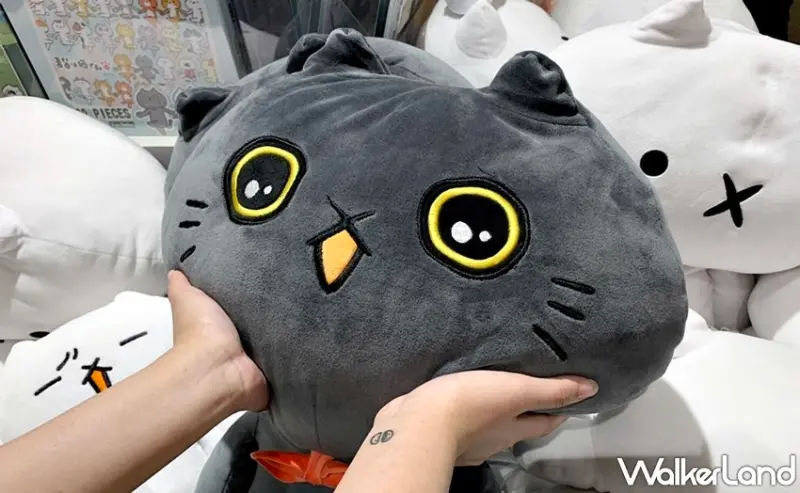 反應過激的貓快閃  / WalkerLand窩客島整理提供 未經許可，不得轉載