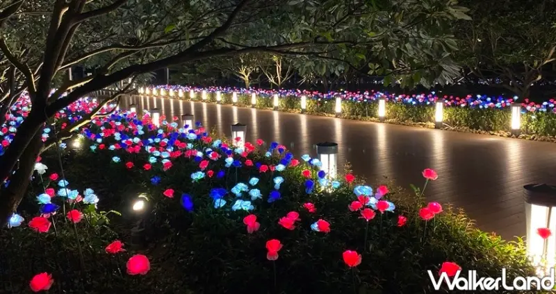 微風南山 玫瑰花燈海 / WalkerLand窩客島整理提供 未經許可不可轉載