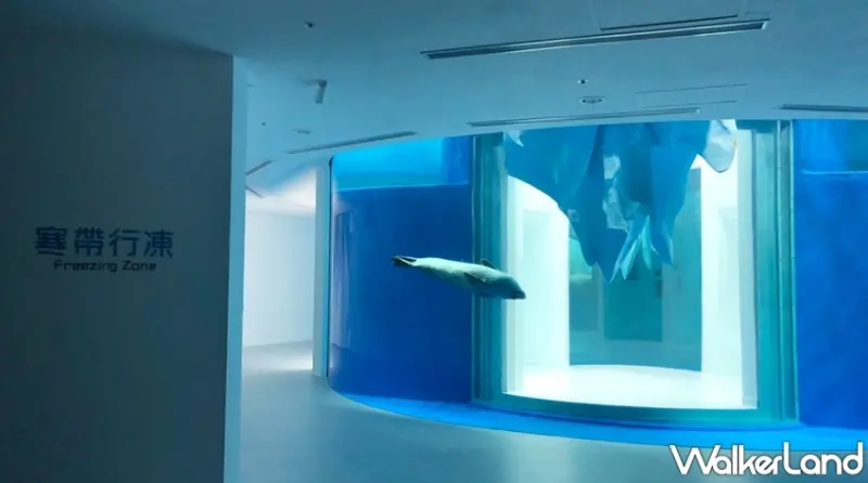 Xpark / WalkerLand窩客島提供 未經許可，不得轉載