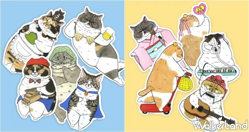 萌貓同樂會 / WalkerLand窩客島整理提供 未經許可，不得轉載