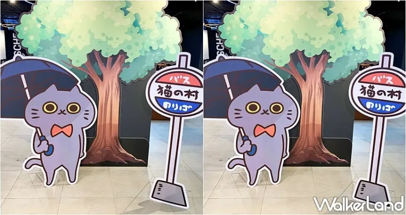 反應過激的貓快閃  / WalkerLand窩客島整理提供 未經許可，不得轉載