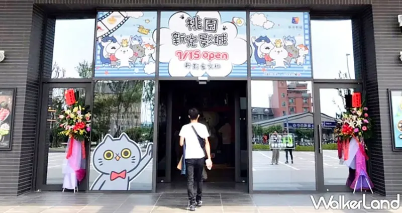 反應過激的貓快閃  / WalkerLand窩客島整理提供 未經許可，不得轉載