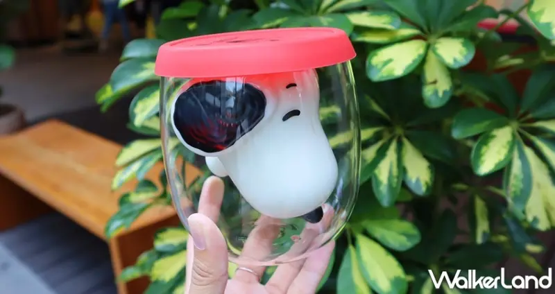 1011‧SIP TEA X SNOOPY / WalkerLand窩客島提供 未經許可，不得轉載