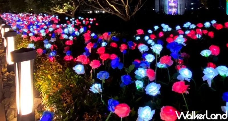 微風南山 玫瑰花燈海 / WalkerLand窩客島整理提供 未經許可不可轉載