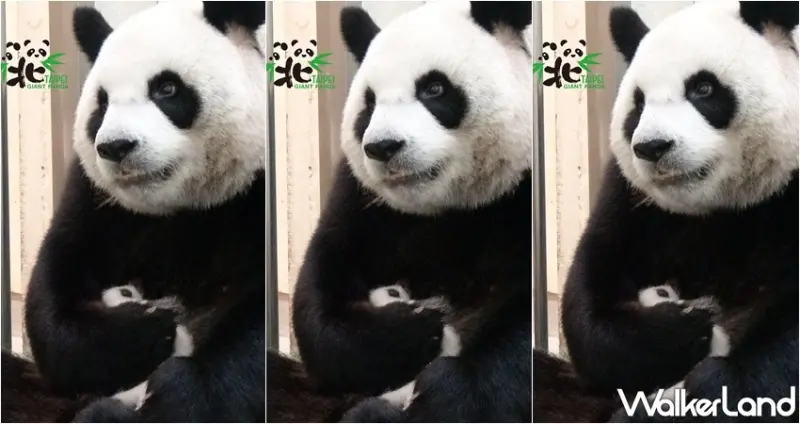 臺北市立動物園