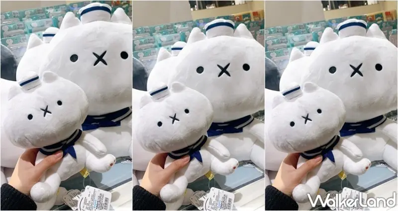 反應過激的貓快閃  / WalkerLand窩客島整理提供 未經許可，不得轉載