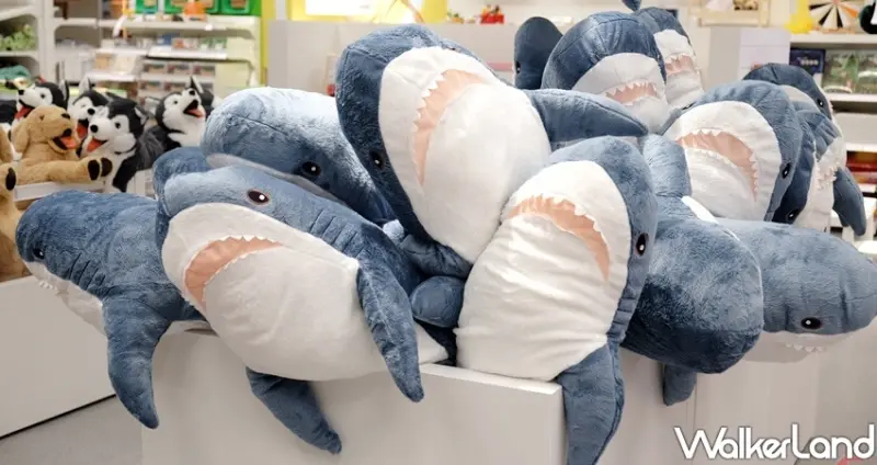 IKEA鯊魚造型悠遊卡/ WalkerLand窩客島整理提供 未經許可不可轉載