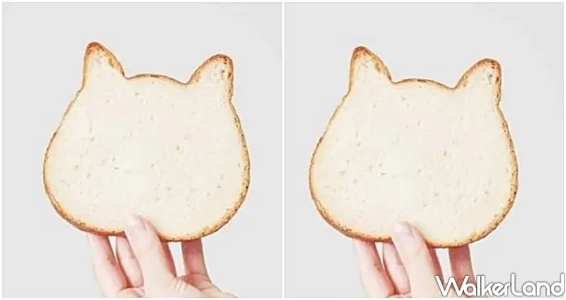 貓咪生吐司專賣店「NEKO NEKO SHOKUPAN」 / WalkerLand窩客島整理提供 未經許可不可轉載