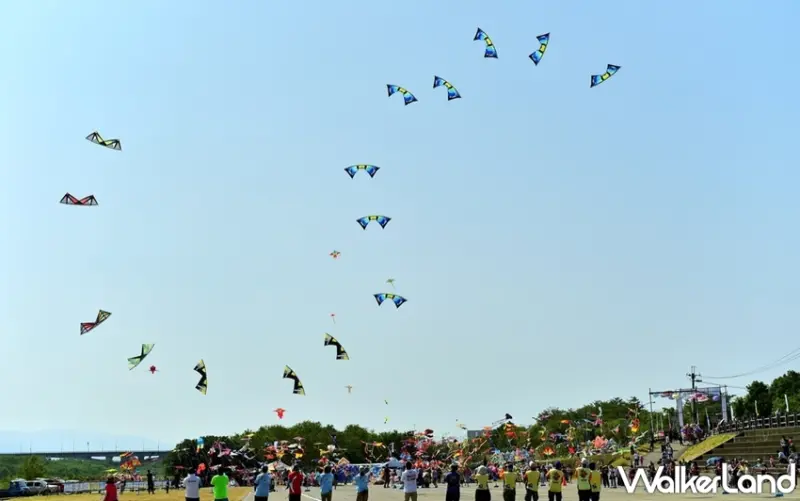 新竹市國際風箏節 / WalkerLand窩客島提供 未經許可，不得轉載