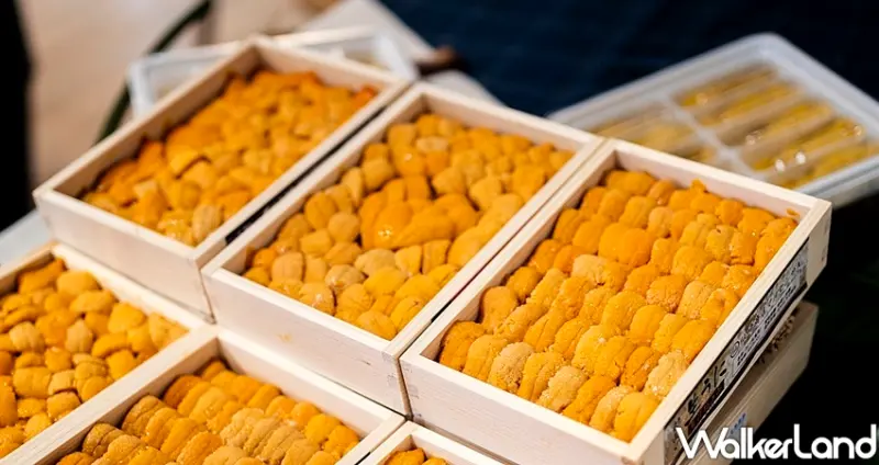 台中一井水產  / WalkerLand窩客島整理提供 未經許可不可轉載