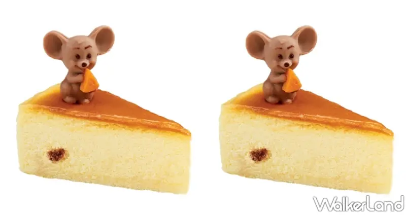 85℃ / WalkerLand窩客島提供 未經許可，不得轉載