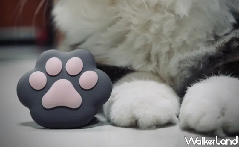 / WalkerLand窩客島提供 未經許可，不得轉載悠遊卡 