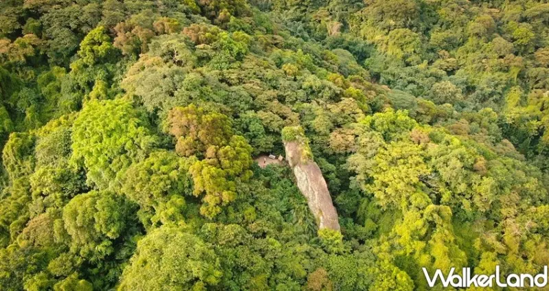 新北11條海景步道、森林系步道 / WalkerLand窩客島整理提供 未經許可不可轉載