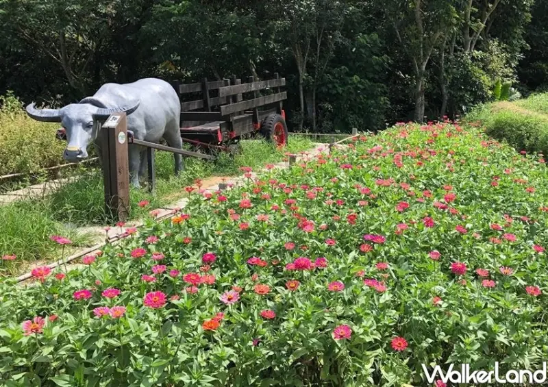 貓空纜車 / WalkerLand窩客島整理提供 未經許可不可轉載