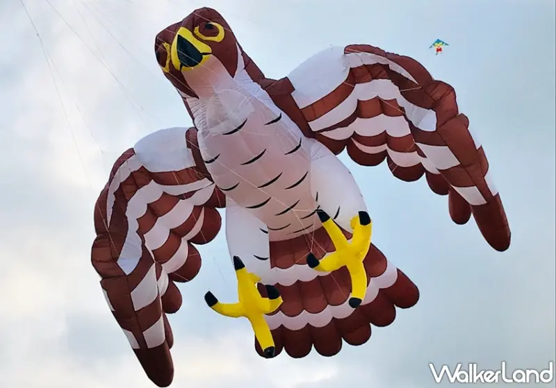 新竹市國際風箏節 / WalkerLand窩客島提供 未經許可，不得轉載